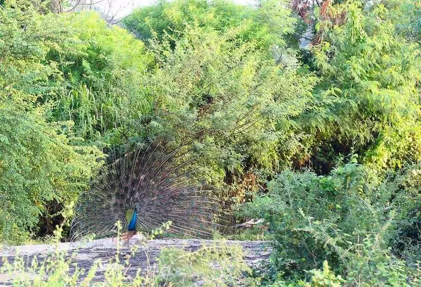 ホテル Best Life Eco Resort Mattala