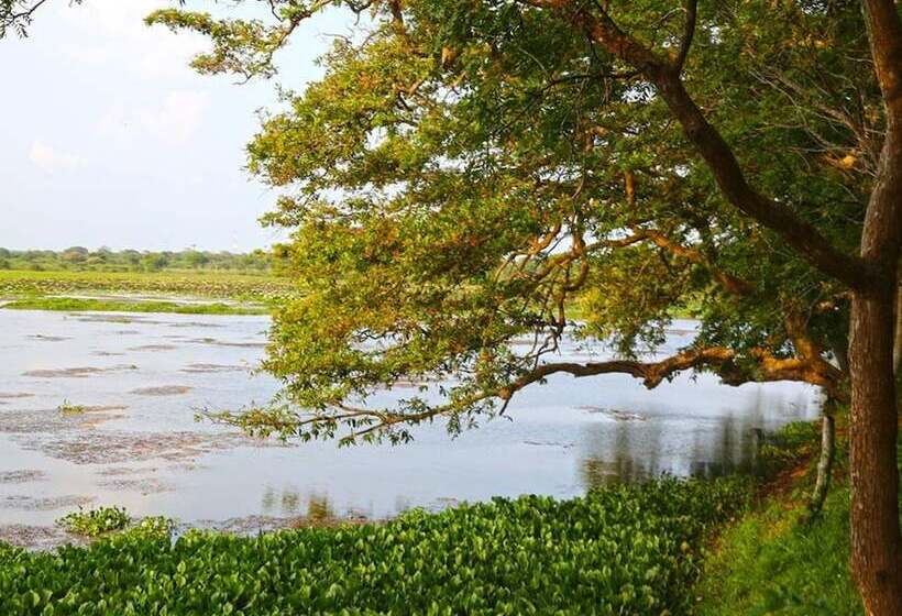 Hotel Best Life Eco Resort Mattala