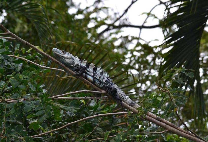 酒店 Cielo Del Mar