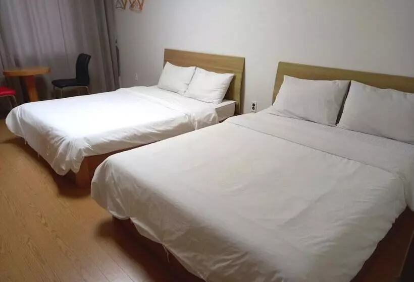 ペンション Jeju Samda Hostel