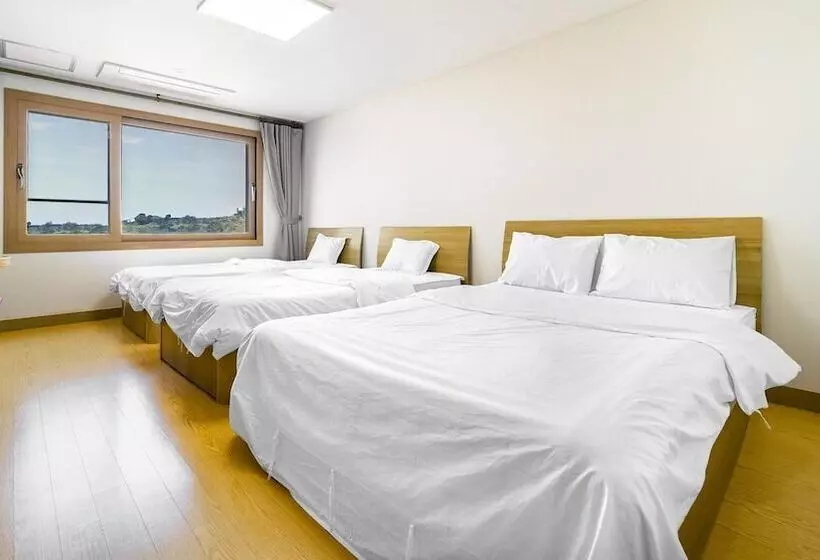 ペンション Jeju Samda Hostel