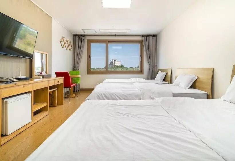 ペンション Jeju Samda Hostel