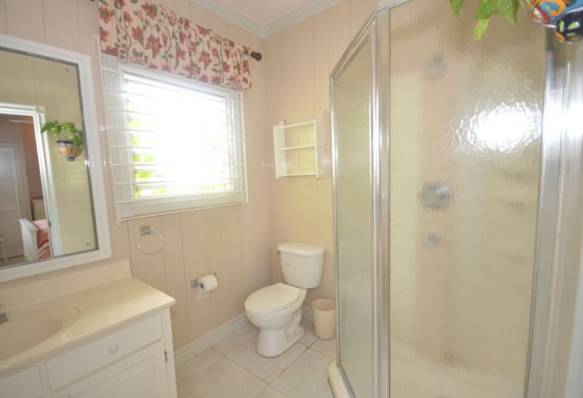 Idleawile Villa, 5br By Jamaican Treasures