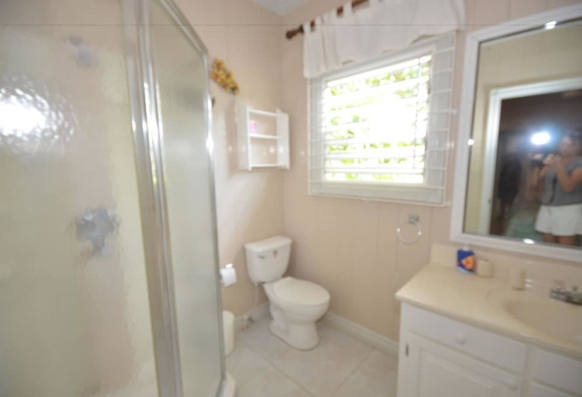 Idleawile Villa, 5br By Jamaican Treasures