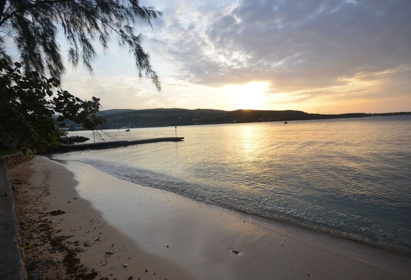 Idleawile Villa, 5br By Jamaican Treasures