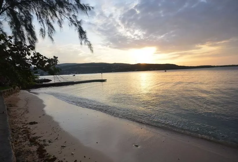 Idleawile Villa, 5br By Jamaican Treasures
