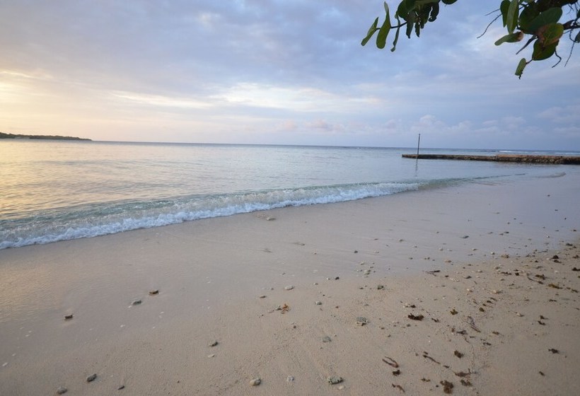 Idleawile Villa, 5br By Jamaican Treasures