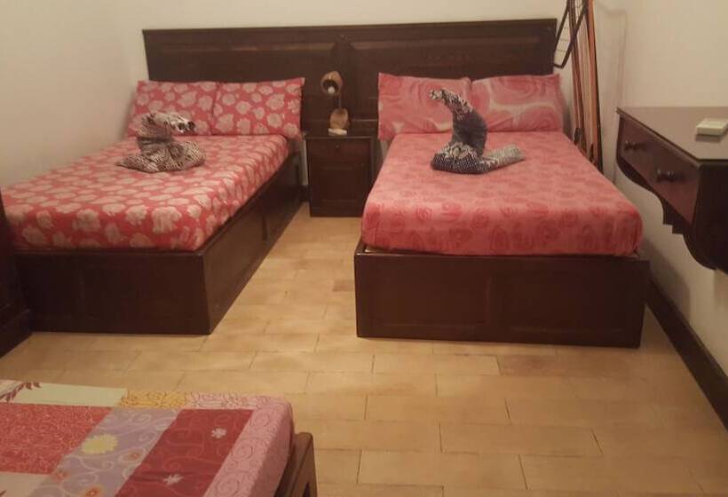 پانسیون Sandy House