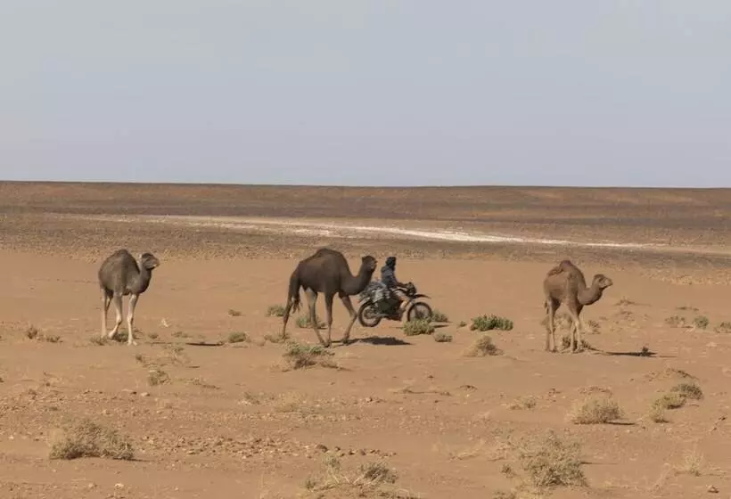 هتل Erg Chegaga Standard Camp