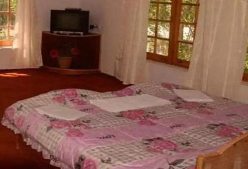 هتل Galaxy Ladakh