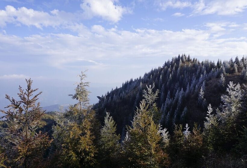 پانسیون Longji Rice Terraces Hostel