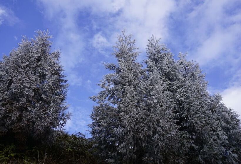 پانسیون Longji Rice Terraces Hostel