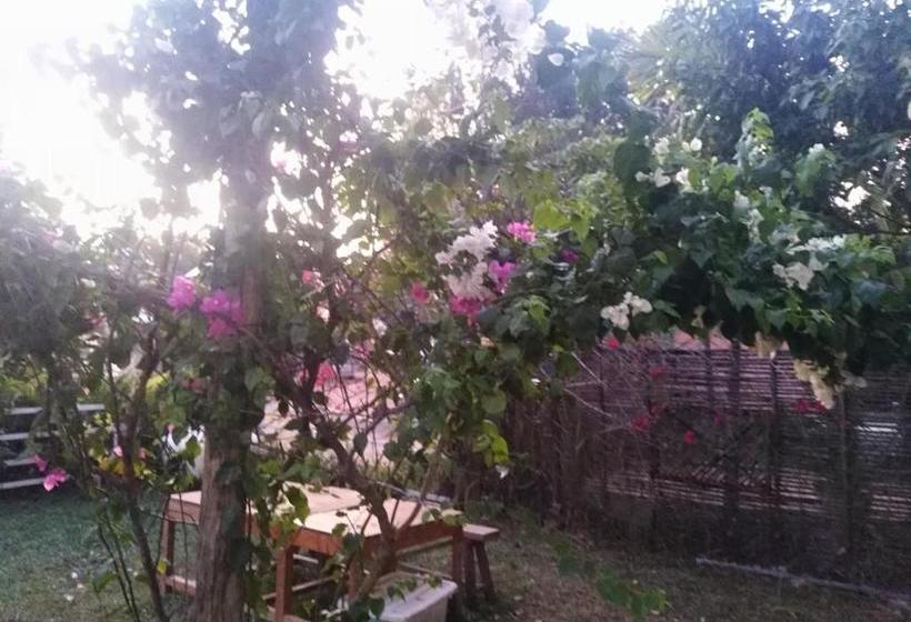 פנסיון Mama Clares