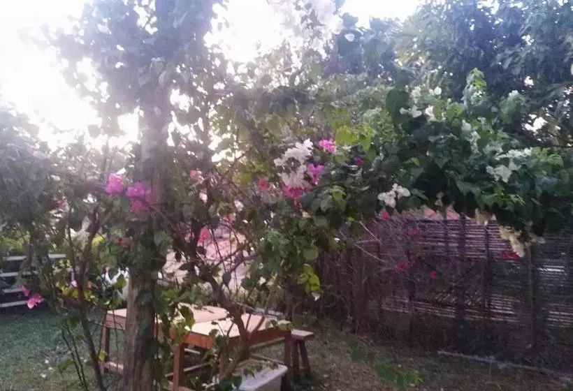 پانسیون Mama Clares