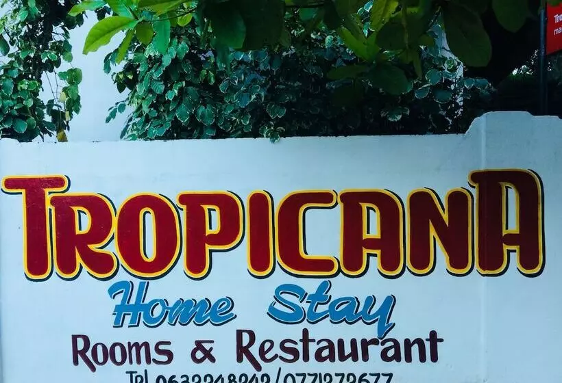 ベッドアンドブレックファースト Tropicana Homestay