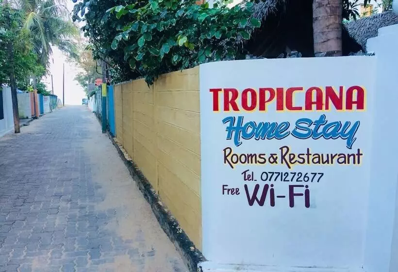 ベッドアンドブレックファースト Tropicana Homestay