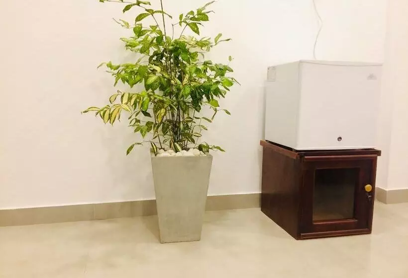 ベッドアンドブレックファースト Tropicana Homestay