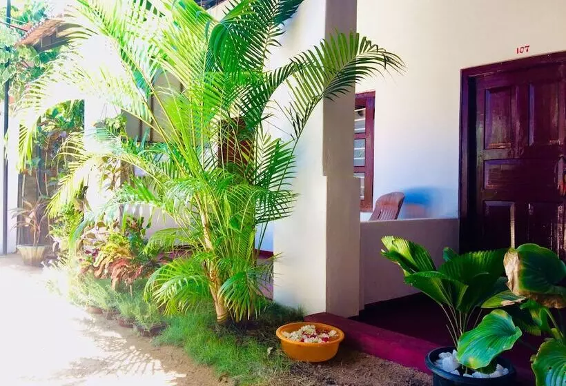 ベッドアンドブレックファースト Tropicana Homestay