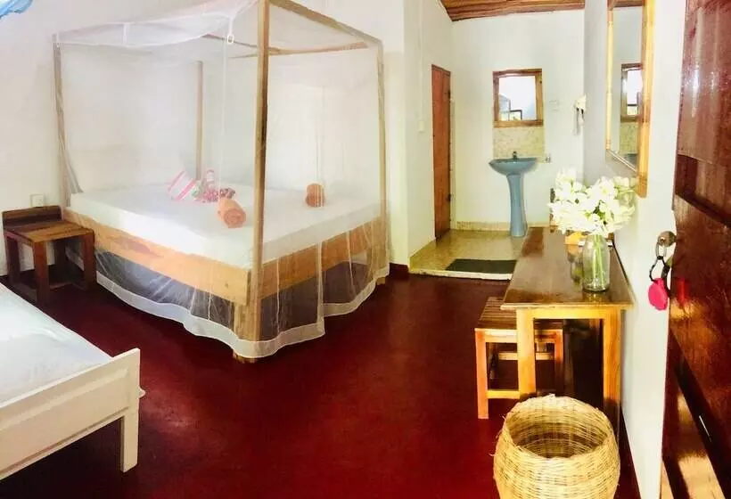 ベッドアンドブレックファースト Tropicana Homestay