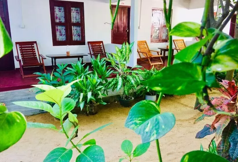 ベッドアンドブレックファースト Tropicana Homestay