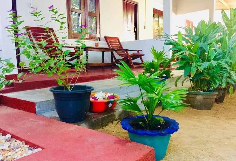 ベッドアンドブレックファースト Tropicana Homestay