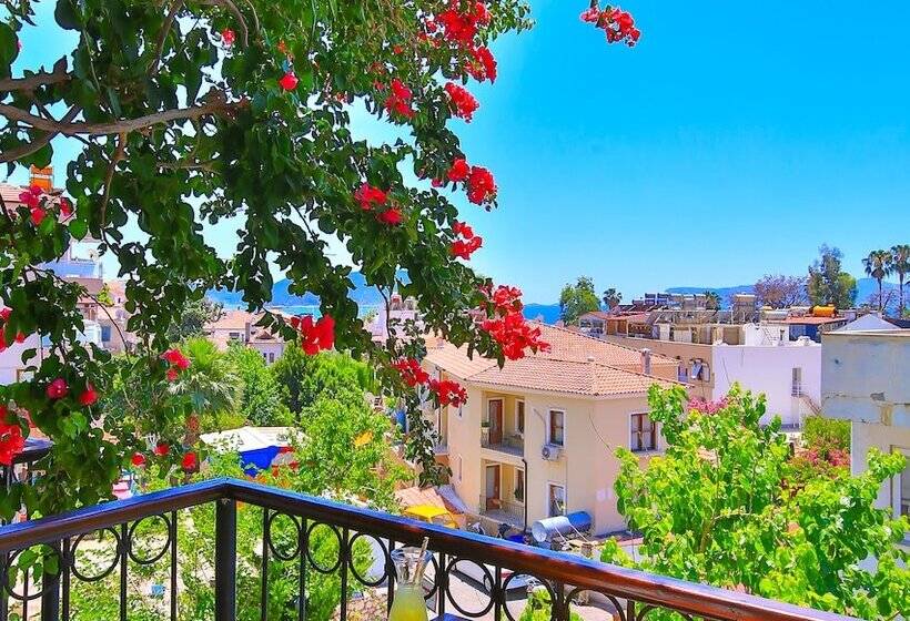 پانسیون Rauf Bey Evi