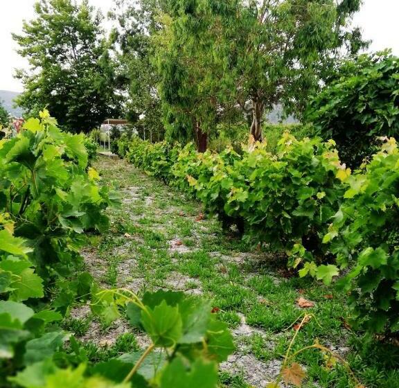 Naftilos Rosmarinus Apartments