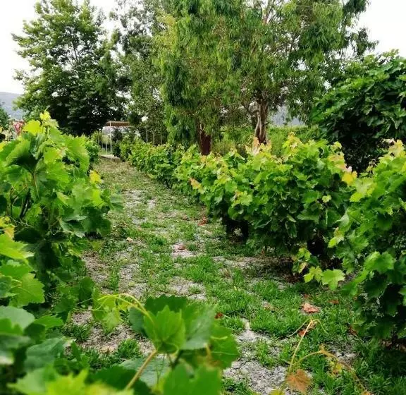 Naftilos Rosmarinus Apartments