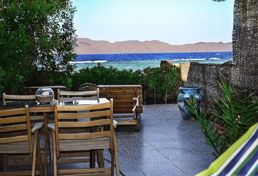 The Cozy Beach House