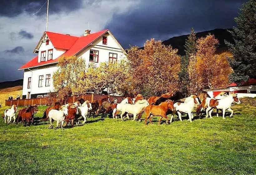 تختخواب و صبحانه Ferðaþjónustan Geitaskarði