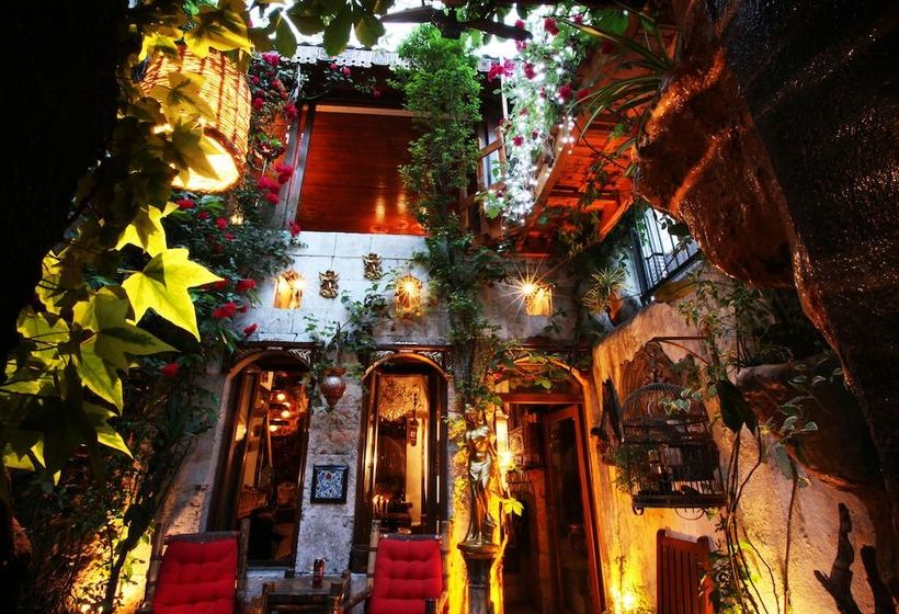 酒店 Antique Celtik House