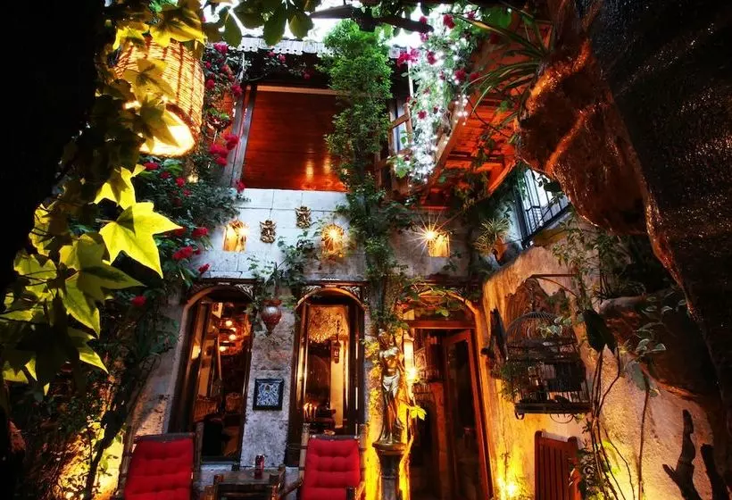 Hotelli Antique Celtik House