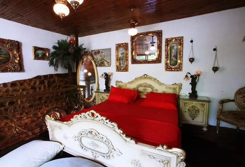 Hotelli Antique Celtik House