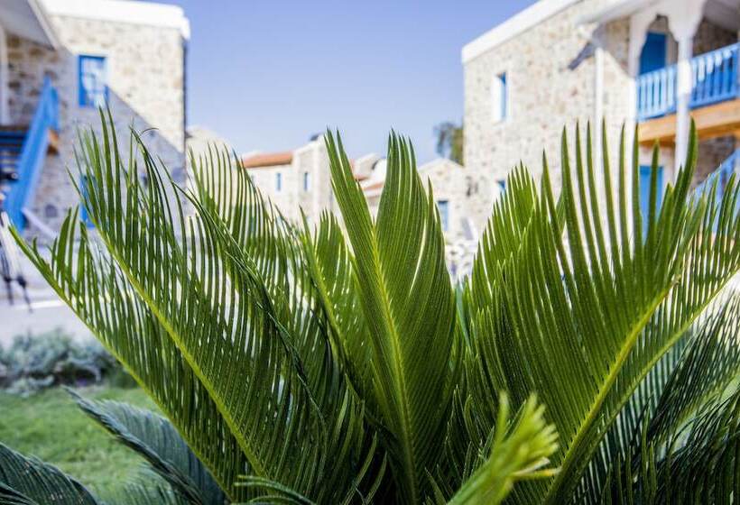 בית מלון כפרי La Petra Datca