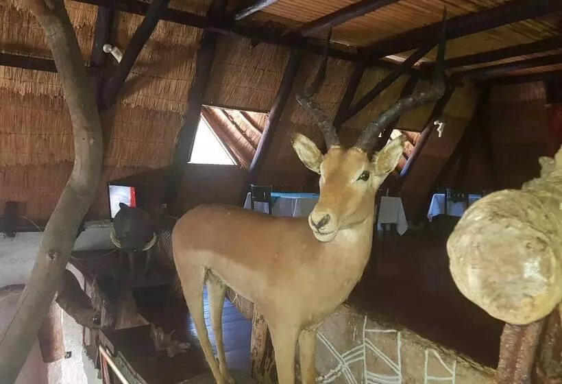 هتل Nyangombe Safari Lodge