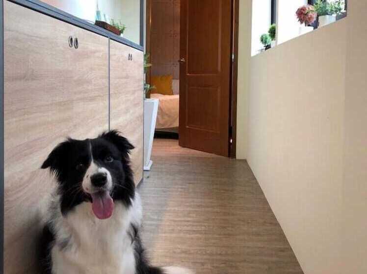 پانسیون Chiao's House