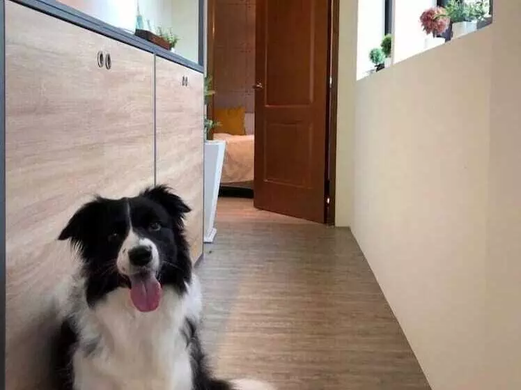 پانسیون Chiao's House