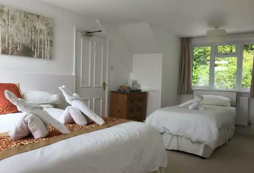 Pensió Silver Birch Guest House