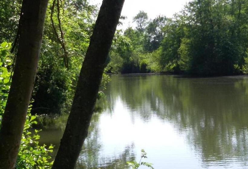 민박 Manoir Des Turets