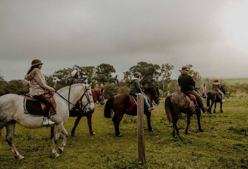 בית מלון כפרי Estancia Ninette
