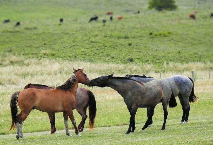 בית מלון כפרי Estancia Ninette