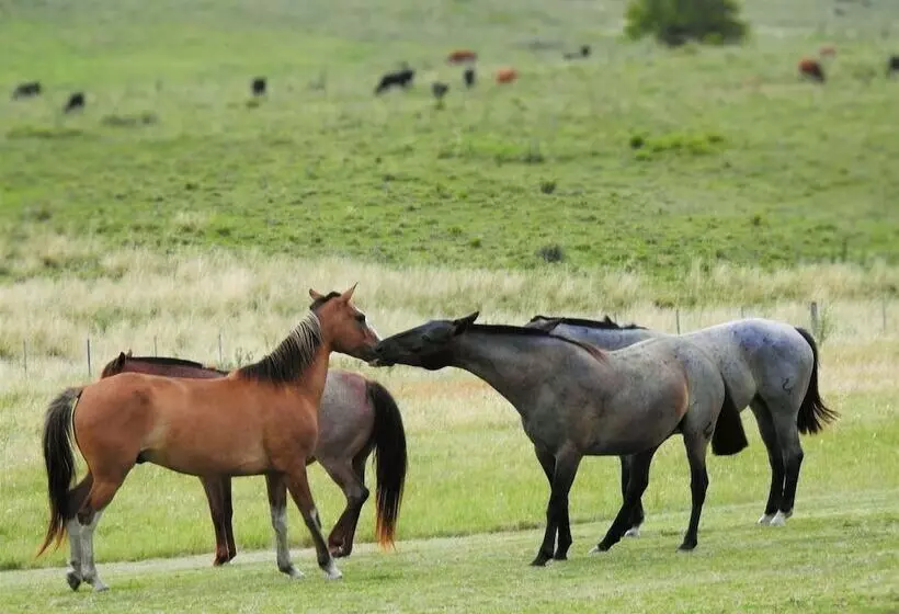 هتل Estancia Ninette