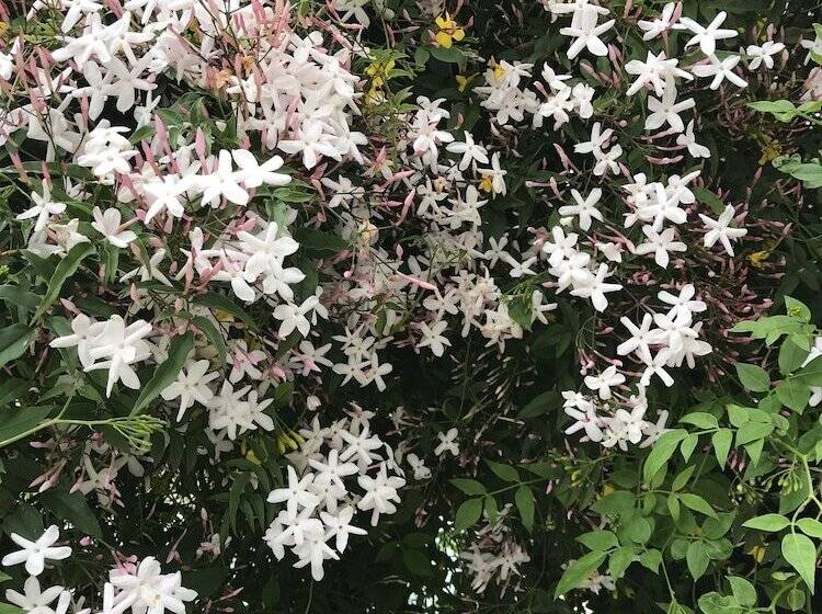 בית מלון כפרי Estancia Ninette