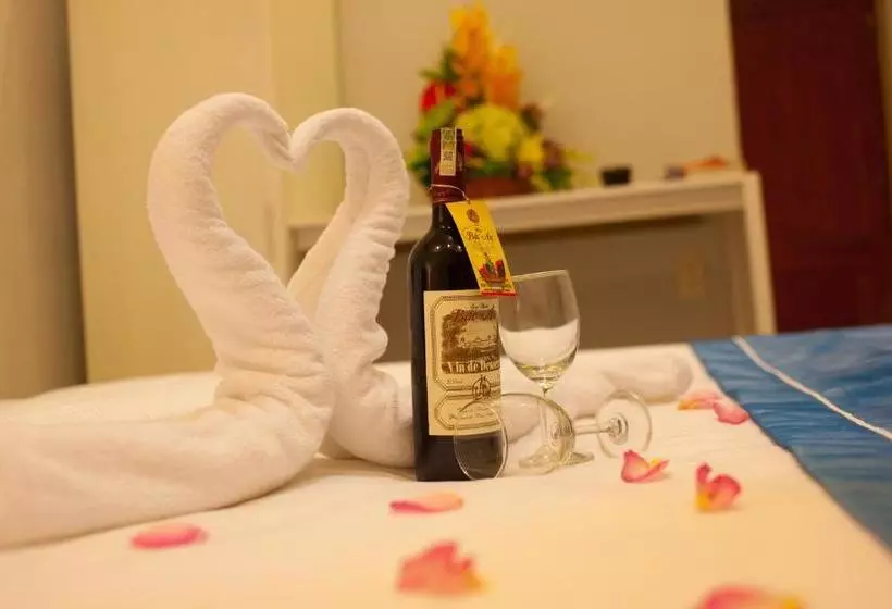 هتل Hanoi Brother Inn & Travel