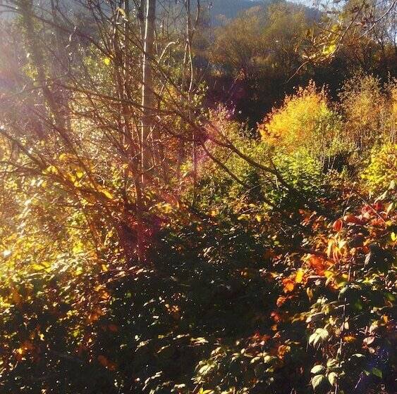 بنسيون Au Gré Des Sentiers Chez Marie Et Pierre