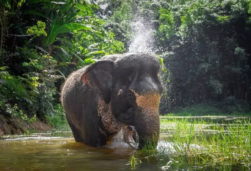 Isawan 2br Salt Pool Villa In Baannaraya