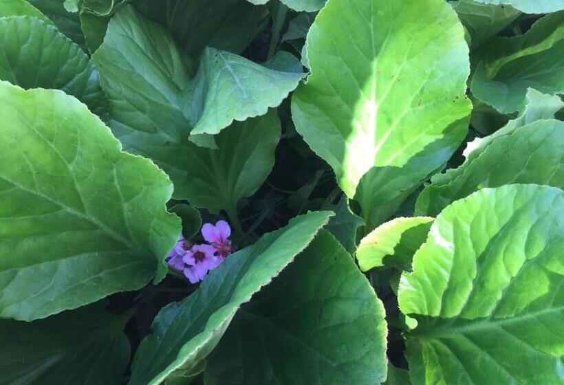 La Maison Du Clos Du Roi