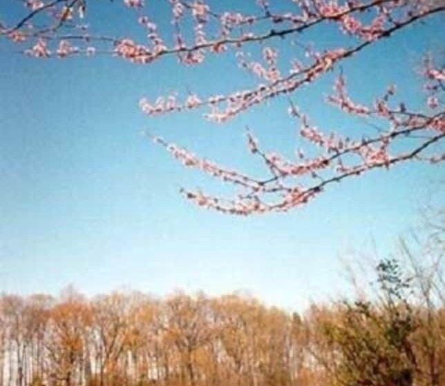 Oak Grove Bed And Breakfast