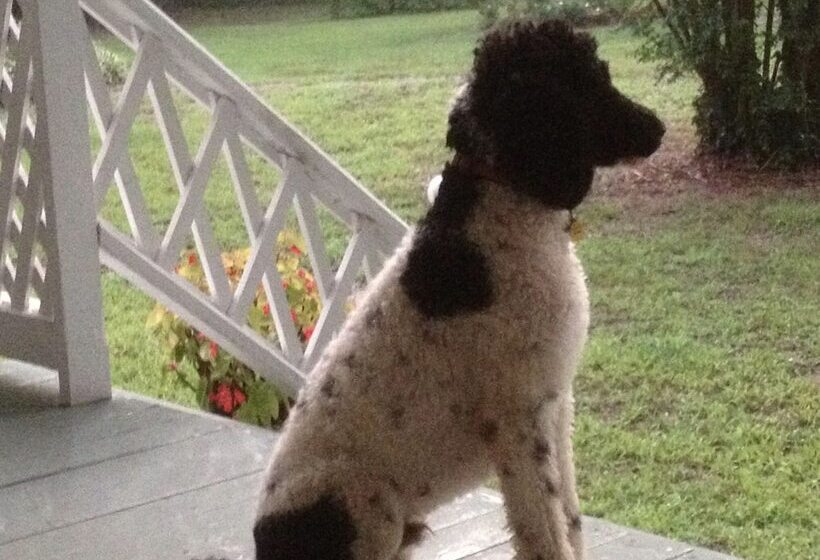 Oak Grove Bed And Breakfast