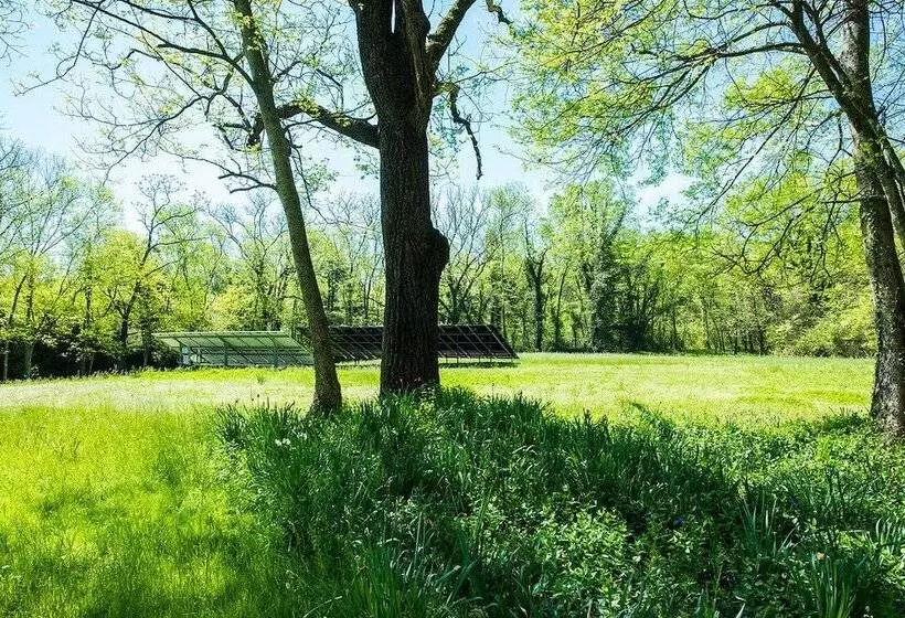 Oak Grove Bed And Breakfast